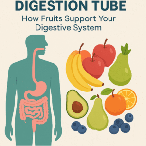 An illustrated diagram showing the digestion tube with arrows and fruit icons supporting each section.
