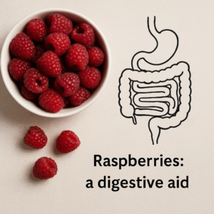 Fresh raspberries in a bowl with digestive system illustration
